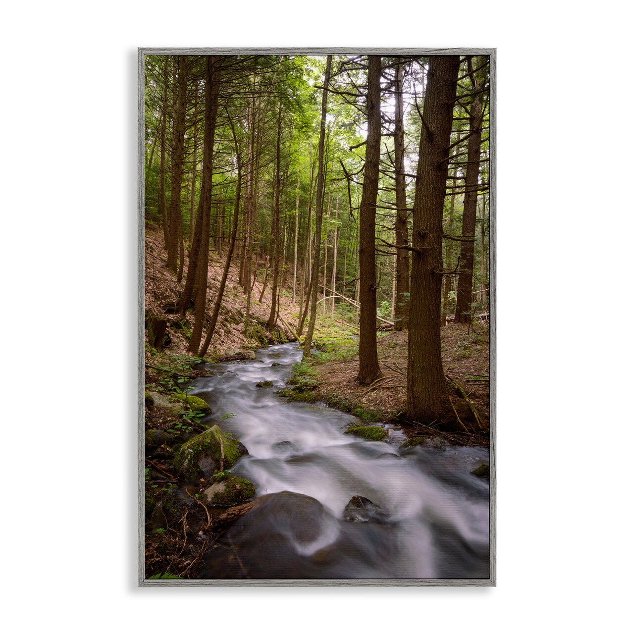 Stupell Industries Mist In The Adirondacks Framed Giclee, design by James Rodewald